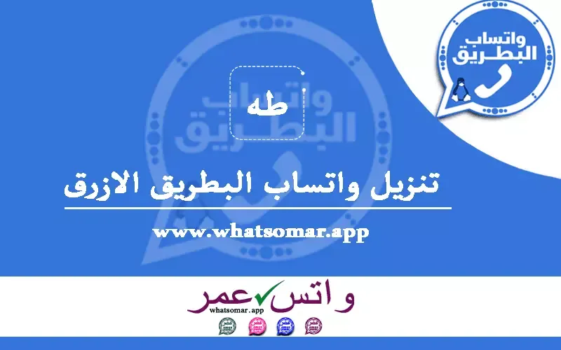 صور من البرنامج #1