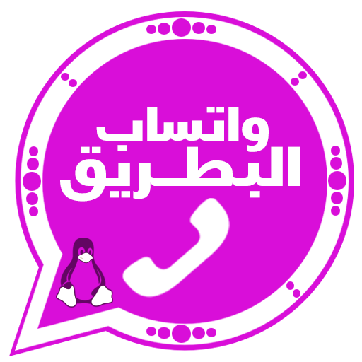 صور من البرنامج #2